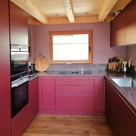 Chalet Engedi 公寓 萨斯费